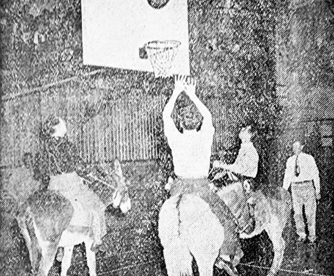 Feb 16, 1951 Alpine’s first ever donkey basketball game is scheduled for Saturday, Feb. 24 and Wednesday, Feb. 28 in the high school gym. All proceeds go to the Alpine FFA, who sponsored the event.