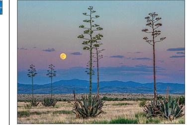 Late photographer submits final photo to contest