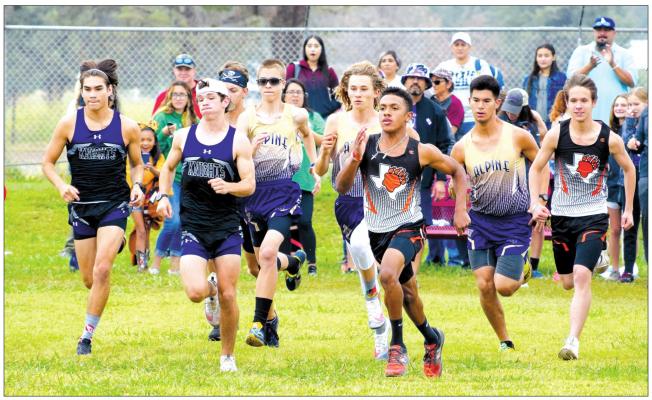 Runnin’ for the Bucks