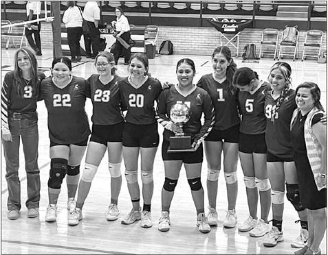 Area teams take volleyball titles
