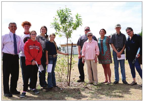 Planting a tree in remembrance