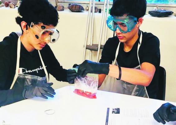 These students in Mrs. Donaldson’s freshman biology class recently began extracting DNA from strawberries to learn how these genetic components are the basis of all living things. Photo courtesy of Marfa ISD