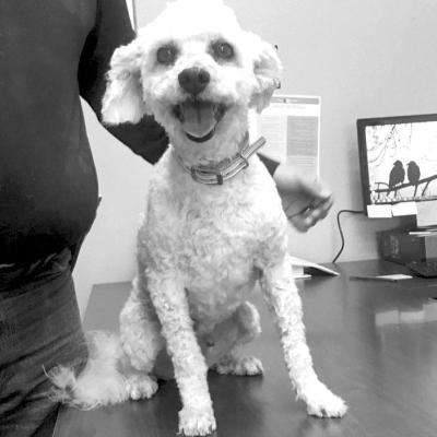 PET OF THE WEEK