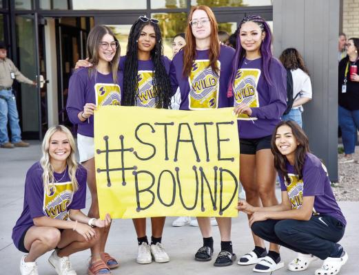 Alpine Lady Bucks shine at state