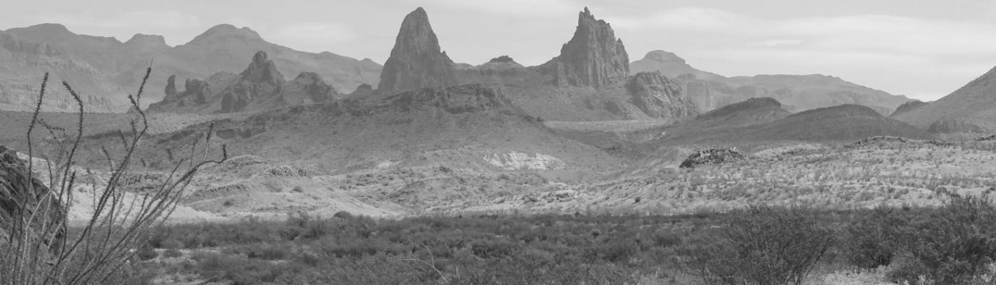 Mule Ears in Big Bend National Park Photo by Kara Gerbert