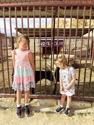 Being that it’s election season, Emy and Jenny Yadon took some time recently to check out some future mayoral candidates in Lajitas. Photo by Heather Yadon