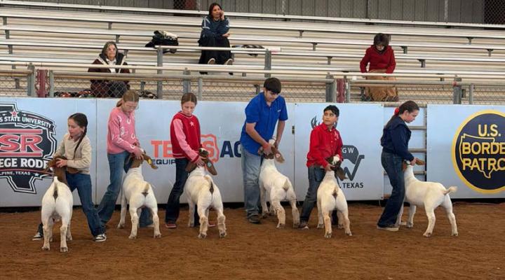 Alpine held the Big Bend Bonanza show and clinic this past weekend, where lamb and goat exhibitors could win prizes and build their show skills. Pictured with their goats are Hattie Roane, Sadie Wood, Bergen Schniers, Mason Driver of Fort Stockton, Avery Rivera, also of Fort Stockton, and Leddy Wood. Photo courtesy of Belinda Rivera