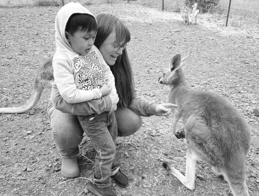 Mrs. Bauman’s Alpine Elementary class took a field trip to Wasserman Wranch last week. Owner Heidi Wasserman explains to one of the students about the kangaroos that they raise on the property. Courtesy photo
