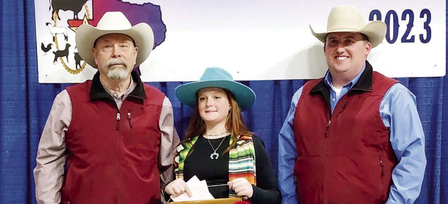 Reserve Grand Champion steer