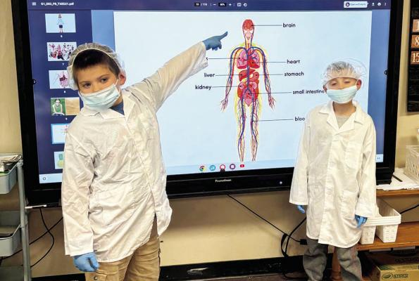 First graders at Alpine Elementary learned all about the human body this week and dressed up in lab coats, donned face masks, and even head coverings as part of their instruction. Courtesy photo