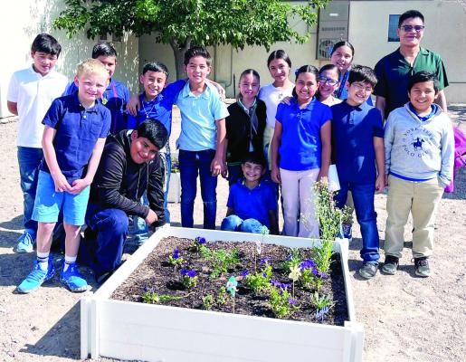 The Big Bend Conservation Alliance hosted a gardening program with Presidio Elementary, teaching its students how to grow their own food, such as radishes, carrots, and lettuce. They also grew flowers, which are important plants for pollinators like bees, hummingbirds, other birds, and butterflies, and that water is vital for all living things Courtesy photo.