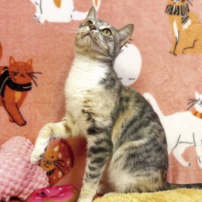 PET OF THE WEEK