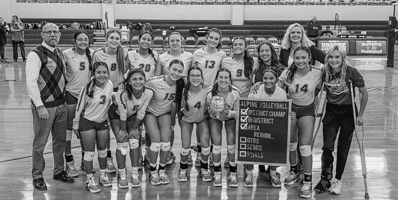 Lady Bucks win Area