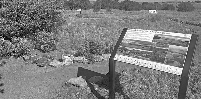 Native Grass Exhibit at CDRI, Fort Davis Courtesy photo