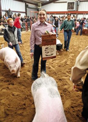 Reserve Champion Swine