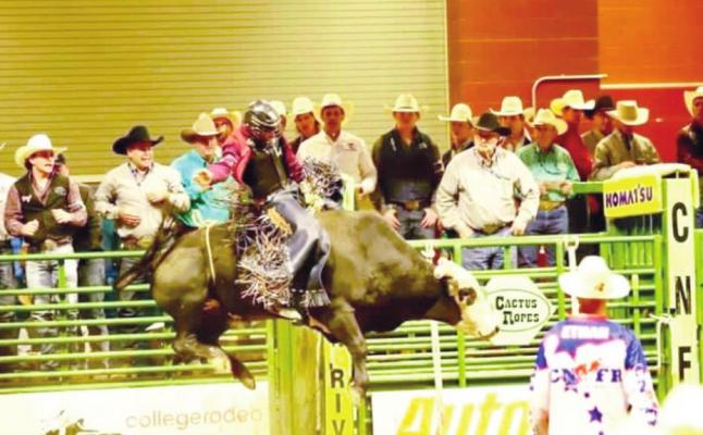 Reserve champion bull rider Tristen Hutchings out of the gate during round two at the 2022 CNFR. Photo by Hadley Kibbe