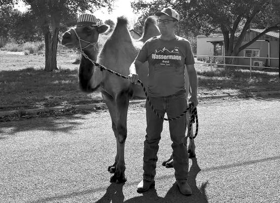 Carl the camel