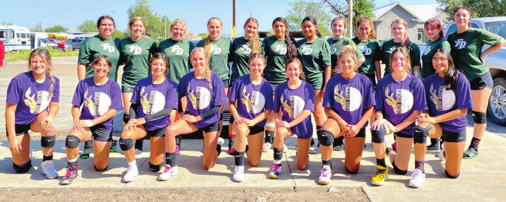 Volleyball is back in the Big Bend