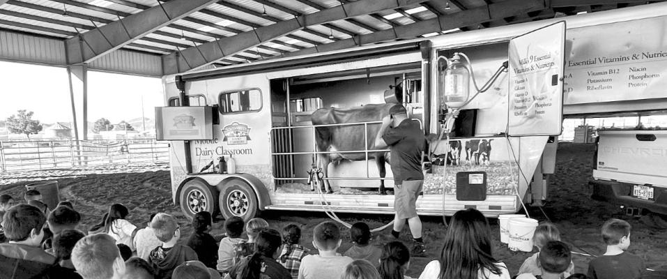 Area school children visited the Sul Ross State University SALE arena on Oct. 19 for the West of the Pecos Cattlewomen’s annual Kids and Cows event. The youngsters were introduced to the animals and the basics of cattle ranching. Avalanche photo by Gail Diane Yovanovich