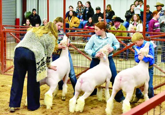 LAMBS