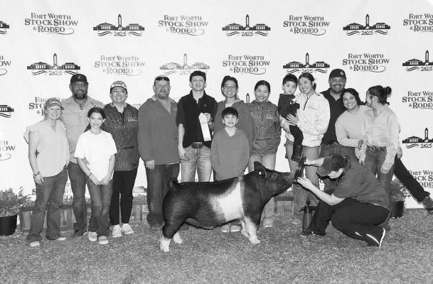 Fort Davis FFA showman Colten Gray brought home a 10th place finish at the Fort Worth Stock Show and Rodeo with his cross-bred swine. Courtesy photo
