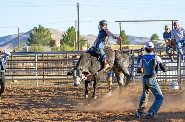 Sul Ross bull rider Leonel Saenz tries to make the eight-second whistle during practice sessions late last month as his teammates work the arena to help protect him once he’s off the bull. Photo by Kara Gerbert