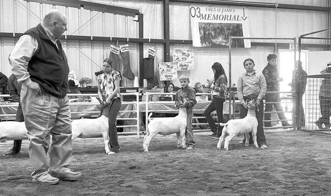 Goat exhibitors showed off their animal projects at the third annual Tres McElroy and James Garlic Memorial Stockshow Christmas Blowout held in Fort Davis this past weekend. Pictured is Kylie Maroney, Wyatt Renfroe, and Rynn Matthews.
