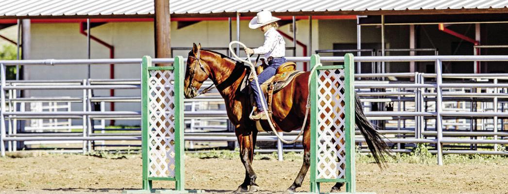 Equestrian Lauren Aragon works on the gate portion of the Stock Horse Trail course at Friday’s District 6 4-H Horse Show.