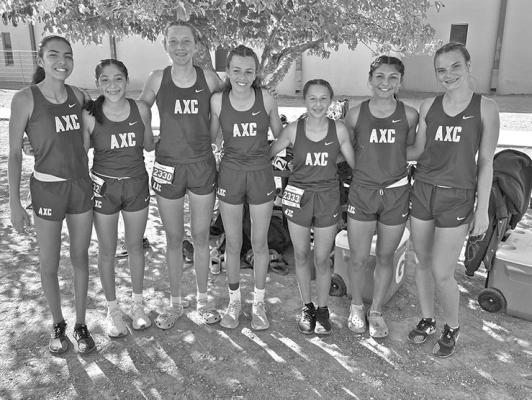 Varsity XC advances to regionals
