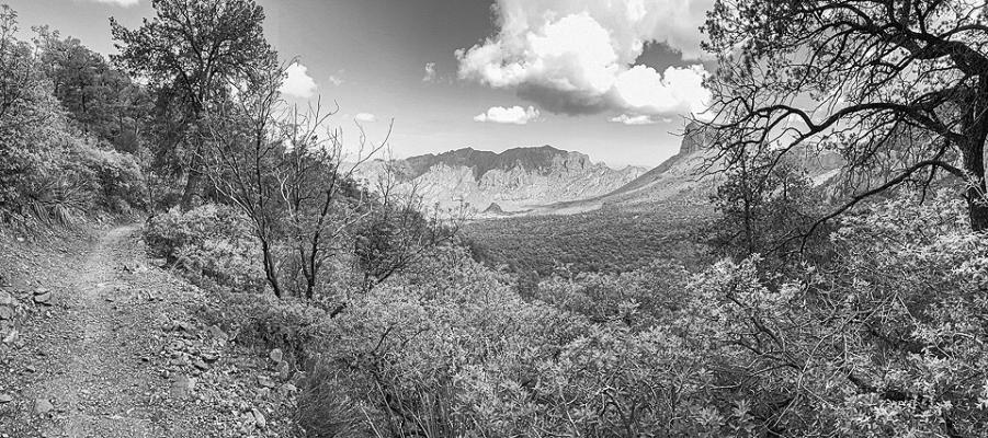 Pinnacles Trail, shown here is an 8 mile round trip hike in the Chisos Basin of Big Bend National Park. Photo courtesy of BBNP/C. Hoyt