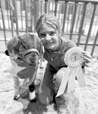 Houston Livestock Show and Rodeo