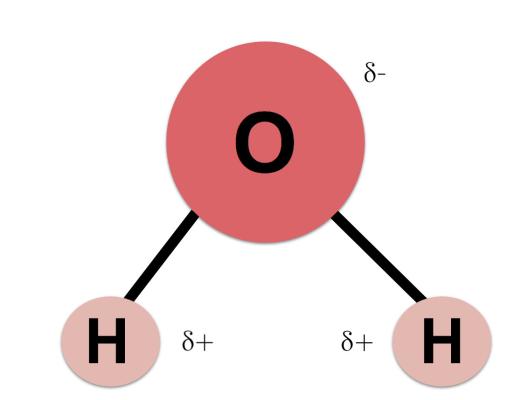 Depiction of a water molecule. Courtesy photo