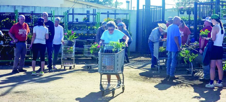 True Value’s annual plant sale saw a large turn-out of area residents on Saturday looking to green up their houses, lawns, and gardens. Owner Bob Ward (left) is pictured talking to community members about the wide selection of plants.