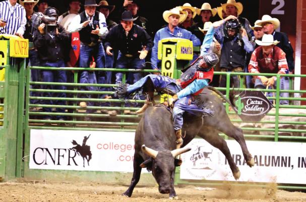 Sul Ross State University rodeo team member Tristen Hutchings on June 19 won the National Champion Bull Rider title at the College National Finals Rodeo in Casper, Wyo.