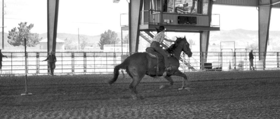 Horse showing at Sul Ross
