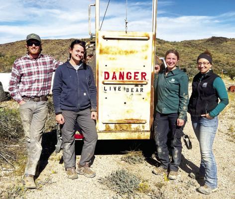 BRI research technicians Matt Hewitt and Nicole Dickan, along with TPWD mammalogist Dana Karelus and TPWD wildlife diversity biologist Krysta Demere, check a bear trap near Terlingua. Courtesy photo