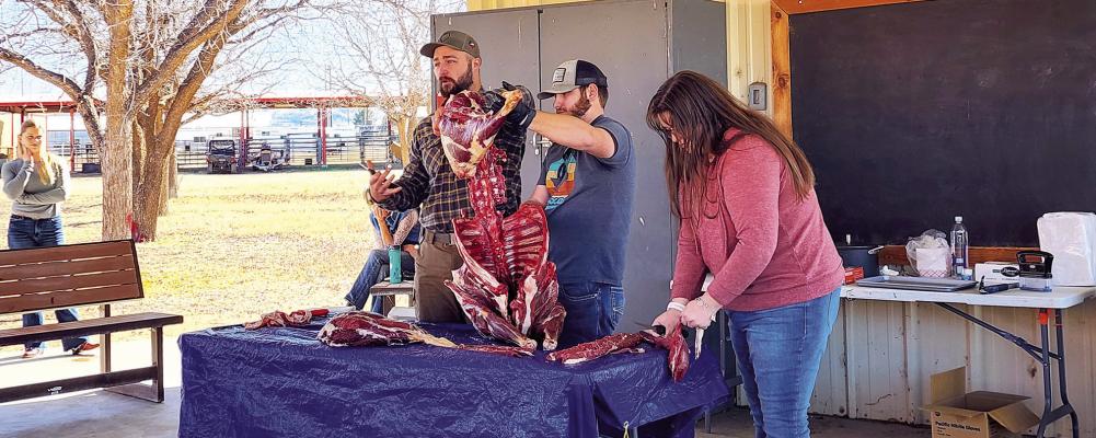 Aoudad is edible