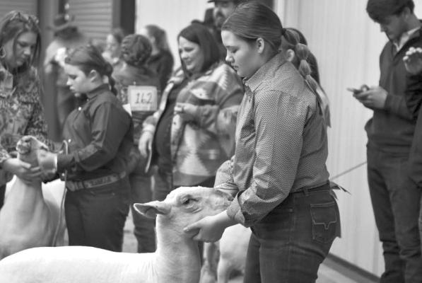 Kaitlyn Wiggins, a senior Alpine FFA exhibitor and her younger cousin Rynn Matthews prepare to enter the show ring with their lambs this past Friday at the Big Bend Livestock Show. Photo by Felipe Fierro