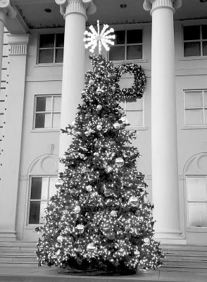 The Christmas tree, located in front of Lawrence Hall on the Sul Ross campus shines brightly into the encroaching darkness. Photo by Kara Gerbert