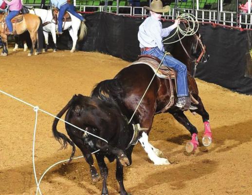 Roping in San Antonio
