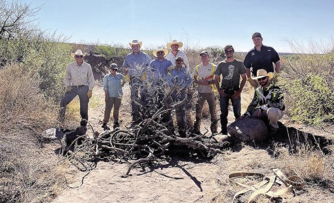Sul Ross students and Rio Grande Joint Venture continue to push forward with conservation efforts in the Big Bend region. Utilizing natural elements found within the area watersheds, check dams such as these are built in tributaries like this one off of Alamito Creek. These natural dams help to improve watershed resiliency. Photo courtesy of RGJV