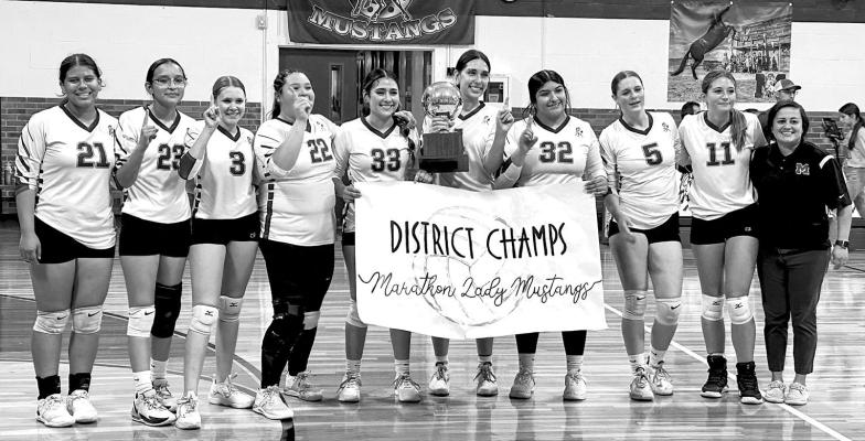 Lady Mustangs volleyball takes district title