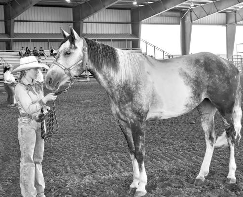 Dakota McCarthy from Brewster County stands with her mare in the five-year and older category at last Friday’s District VI 4-H horse show held at the Sul Ross SALE Arena. Photo by Kara Gerbert