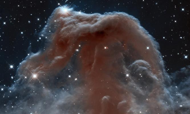 Horsehead Nebula Photo courtesy of NASA