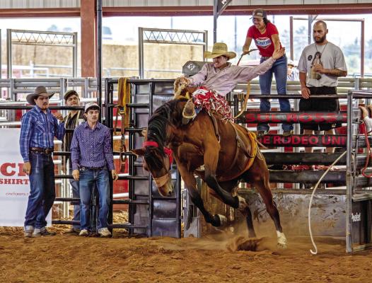 Saddle bronc rider Carson Herron takes a ride on top of one of the Sul Ross bucking horses last Thursday during rodeo practice at the S.A.L.E. Arena. Photo by Kara Gerbert