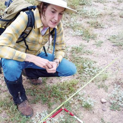 BRI master’s candidate SJ Gilbert is studying the long-term vegetation changes under rotational and continuous grazing in the Marfa grasslands. Thanks to decades of heavy grazing, the increase in bare soil with the addition of shrub encroachment has reduced perennial grass cover, making these desert ecosystems especially vulnerable to drought and land use pressures. Photo courtesy of BRI