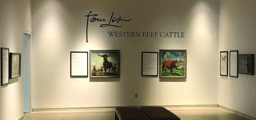 The Tom Lea collection of “Western Beef Cattle” on display in the new Emmett and Miriam McCoy Building; an addition to the Museum of the Big Bend. Courtesy photo