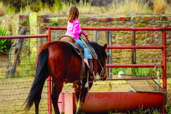 Kid, horse photo a contest finalist