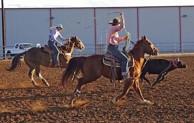 SRSU team ropers Hessten Zack and Ryley Hasten practice their heading and heeling just before the Thanksgiving break. These young men and the rest of the team will be back at it once school is back in session, showing why Sul Ross Rodeo is making headlines. Photo by Kara Gerbert