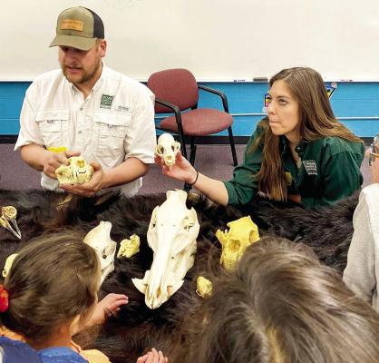 Kiddo Campbell and Olivia Gray speak to Alpine Elementary students about local wildlife and their adaptations. They are shown here talking about the differences in skulls. Courtesy photo